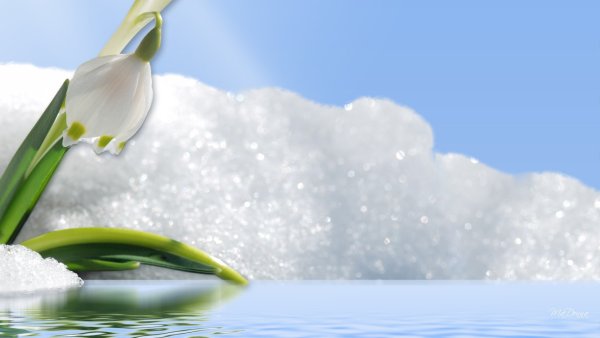 Ранняя Весна март фон