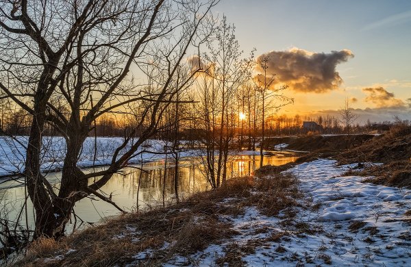 Верба утро
