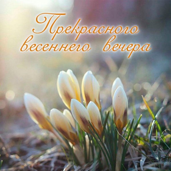 Доброго весеннегоечера