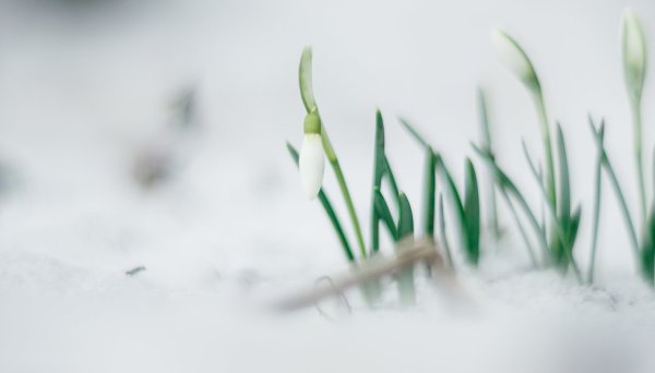 Делайте добро а наипаче своим по вере