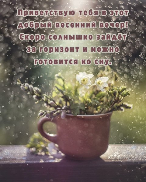 Ночные цвета