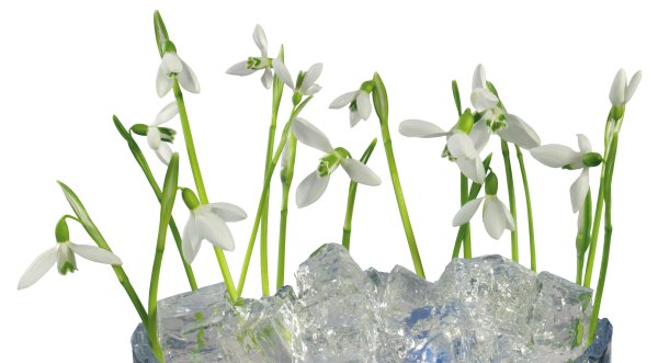 Сказочный весенний фон