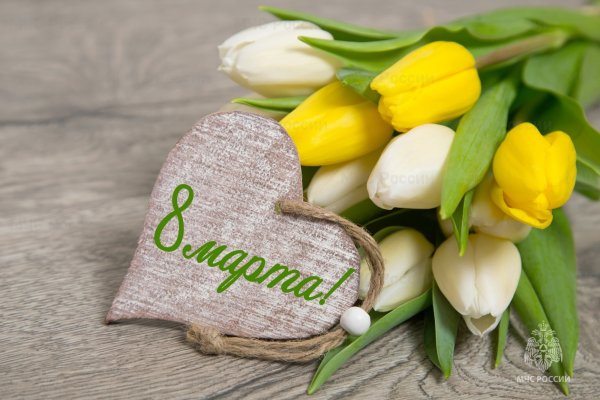 С 8 марта тюльпаны