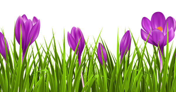 Весенние птички