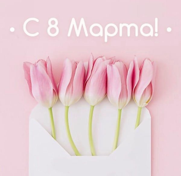 Весенние цветы стильные