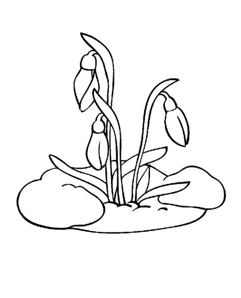 Раскраска. Весна