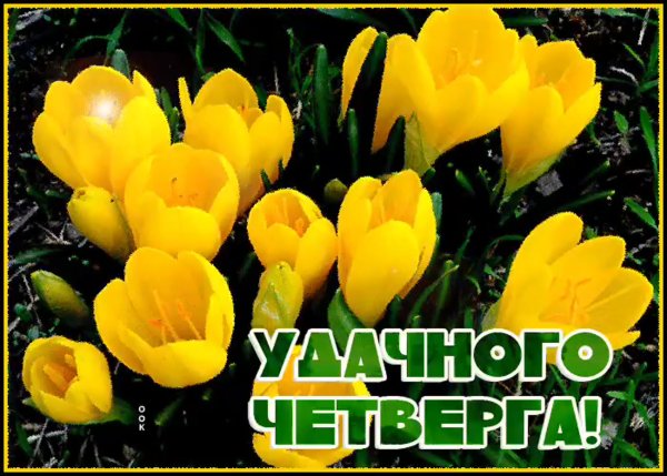 Четверг Весна