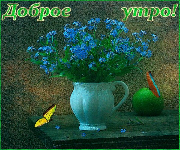 Открытки с добрым утром днем и вечером бесплатно