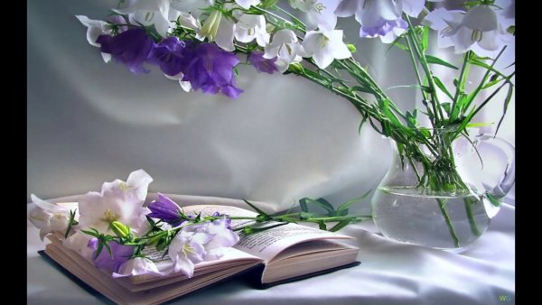 Пришел четверг доброе утро