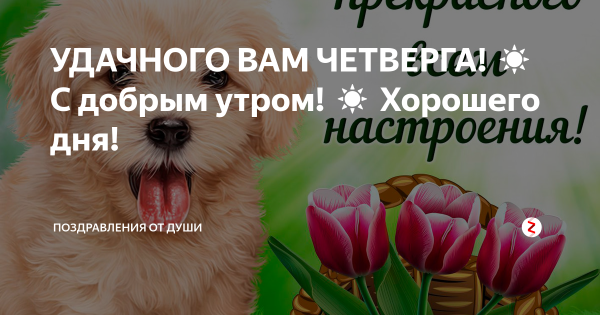 Доброе утро четверга