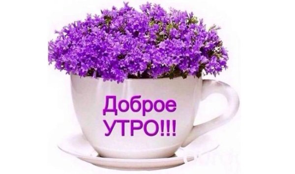 Леночка доброе утро и хорошего дня