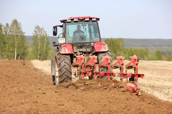 Трактор пашет землю