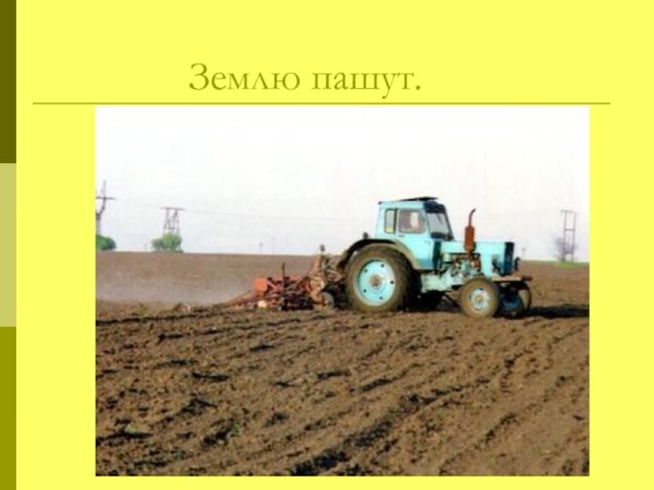 Трактор пашет