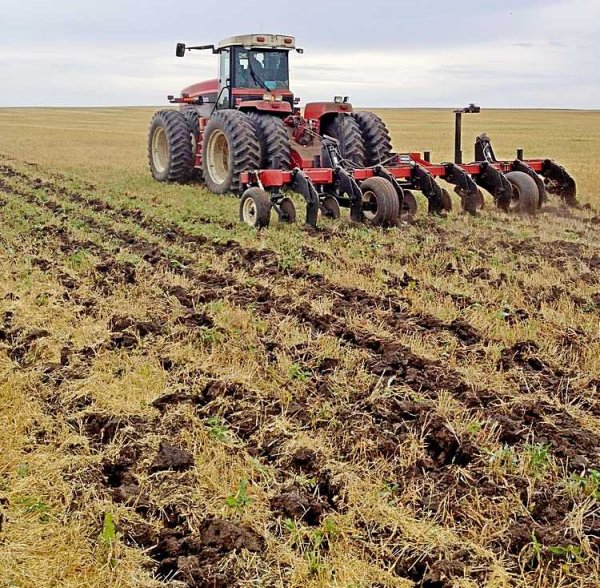 Трактор в поле весной