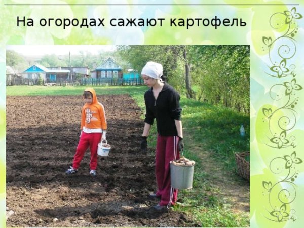 Труд в огороде