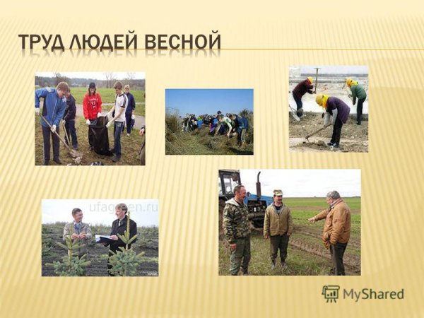 Занятия людей осенью