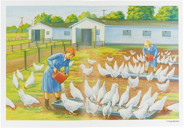 Люди сажают картошку