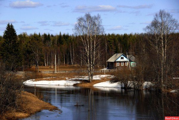 Деревенский домик