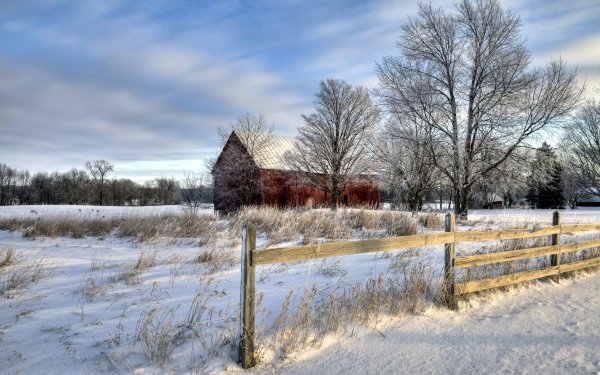 Цветущий Яблоневый сад в деревне