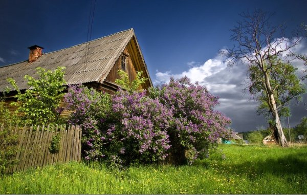 Деревня весной