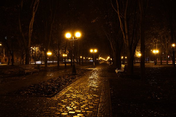 Япония город Токио Сакура