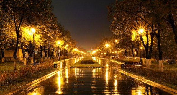 Платановая аллея Геленджик