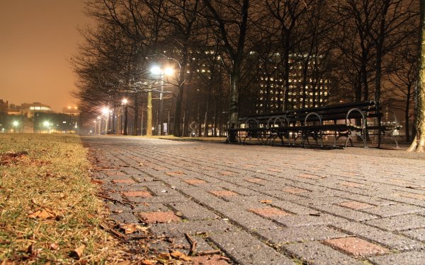 Ночной парк Нью Йорка