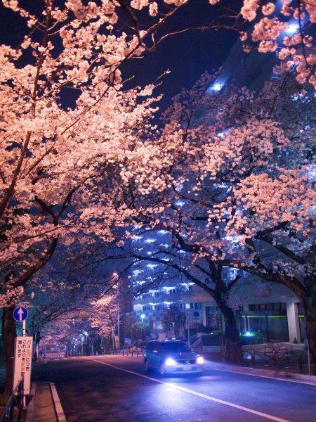 Апрельский вечер в городе