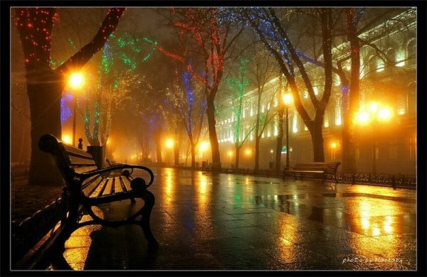 Ночной сад аниме