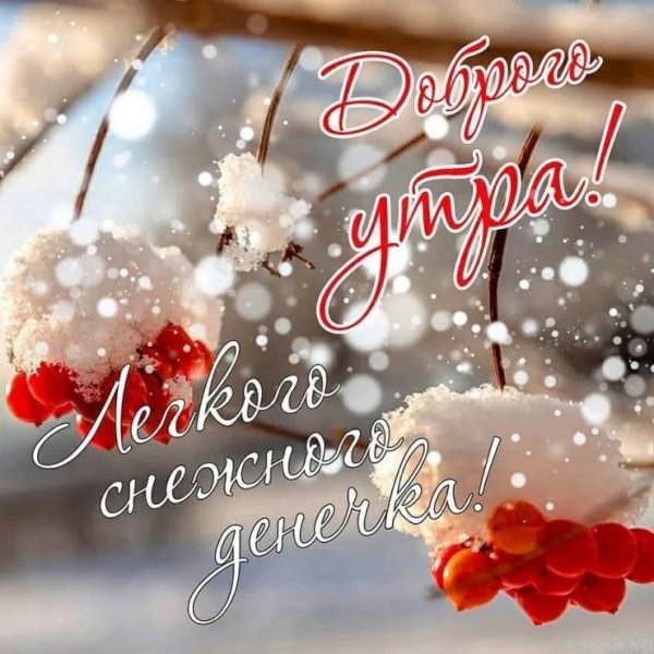 Цветы зимой