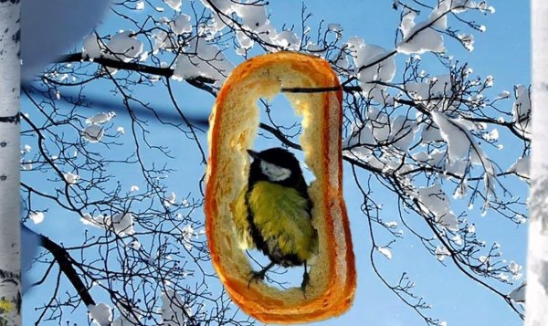 Зима вернулась в марте