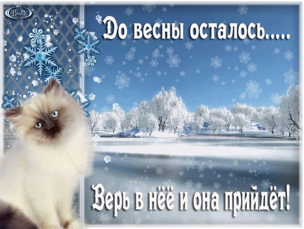 Зима не хочет уходить цитаты