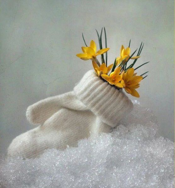 Снежное утро