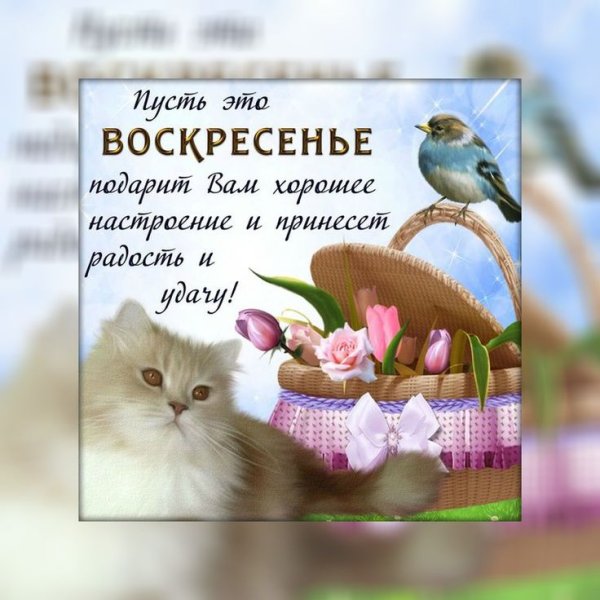 Хорошего воскресенья Весна