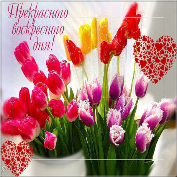 Доброе утро Весна цветы