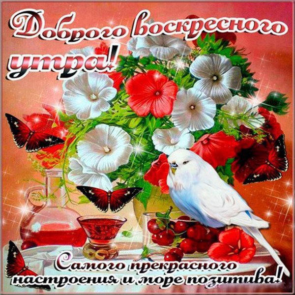 Чудесного весеннего утра и прекрасного настроения красивые