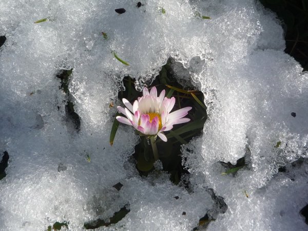 Весенний снег