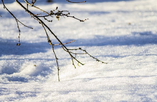 Снег в Вене