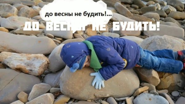 До весны не будить