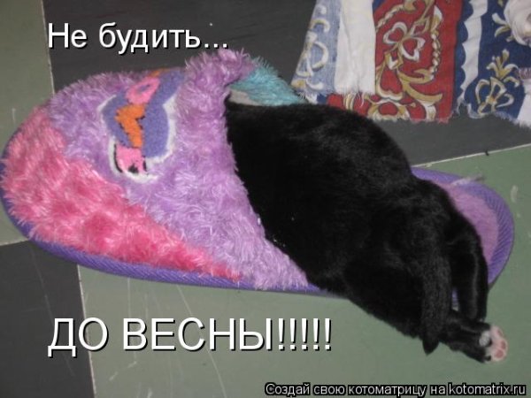 До весны не будить