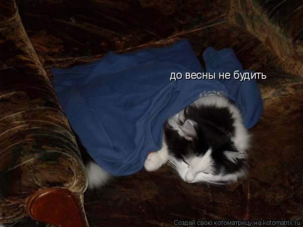 Маша и медведь 2 серия до весны не будить