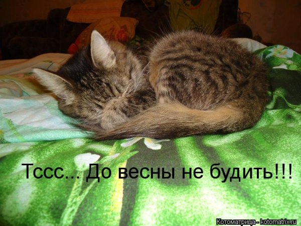 Спокойной ночи малыши Маша и медведь 2013