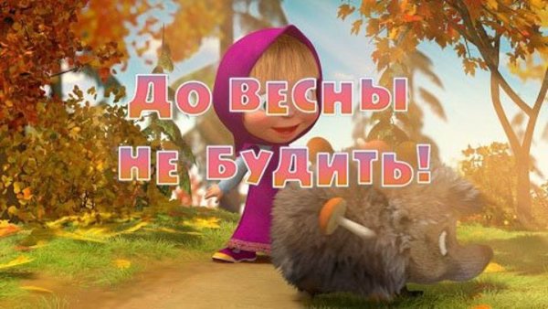 До весны не будить картинки