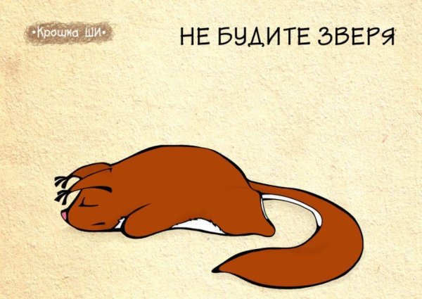 Во сколько тебя разбудить летом пожалуйста