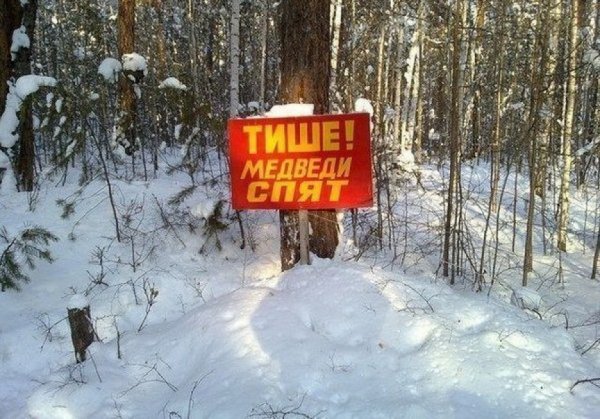 Не по человечески картинки