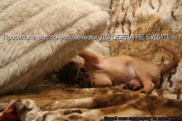 Медведь спит из Маши и медведя
