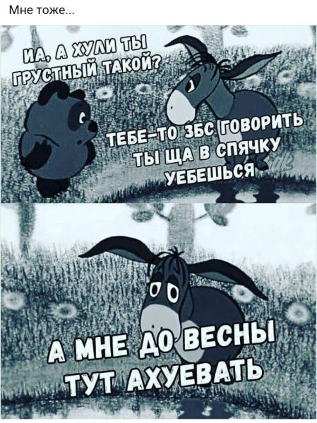 Копатыч спит