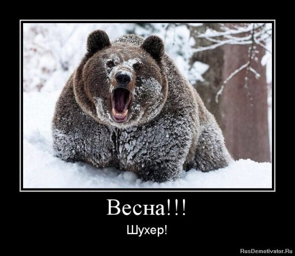 Не дожил до зимы