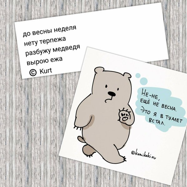 Во сне приснилась кошка