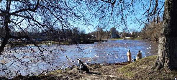 В город пришла Весна